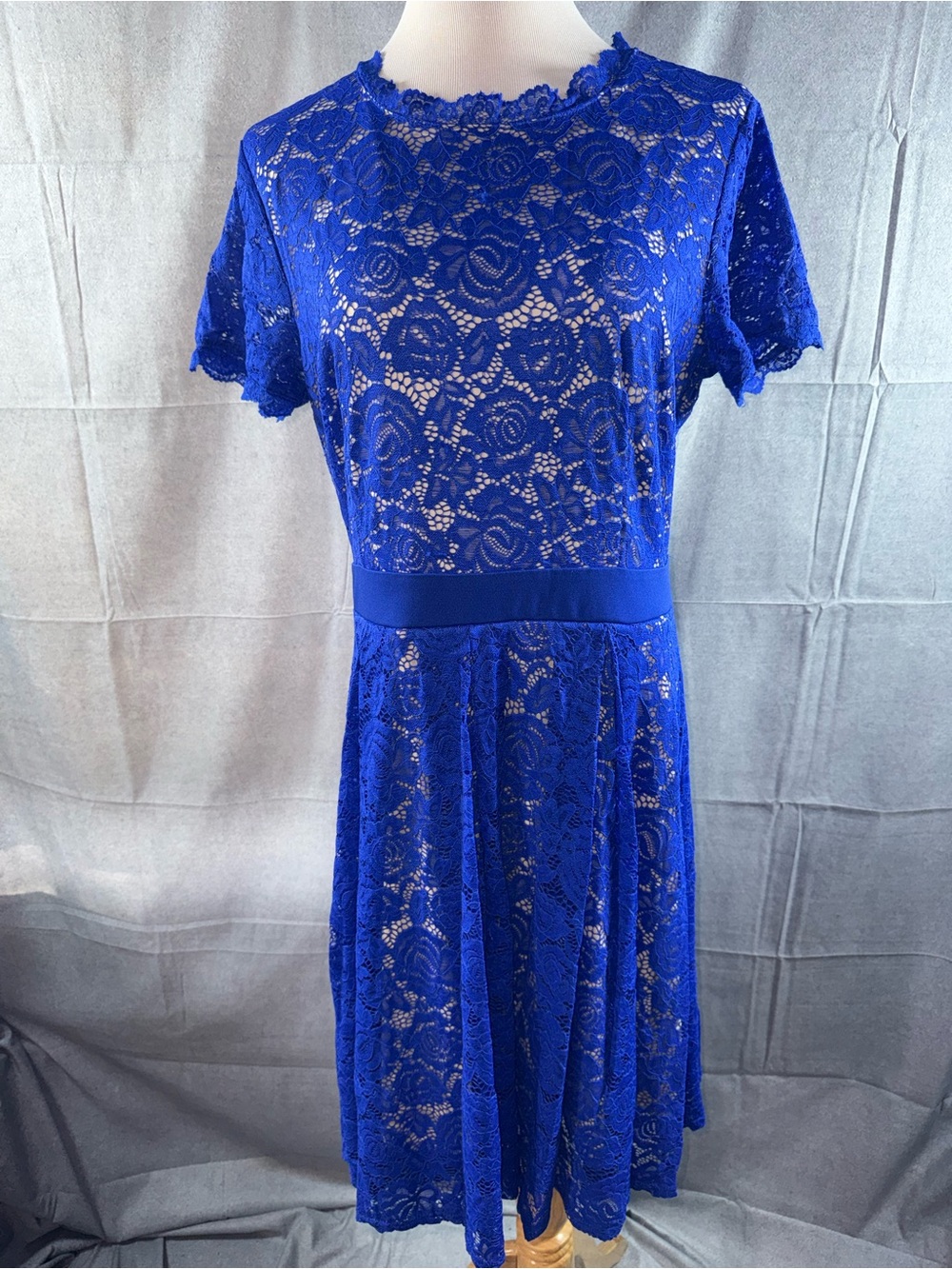 3115-Genhoo Cobalt Lace Fit & Flare Dress